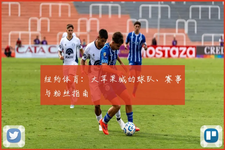 纽约体育：大苹果城的球队、赛事与粉丝指南